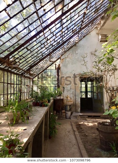 Greenhouse Inside, Old Greenhouse, Conservatory Greenhouse, Greenhouse Shed, Home Greenhouse, Backyard Greenhouse, Garden Wallpaper, Greenhouse Plans, Garden Greenhouse