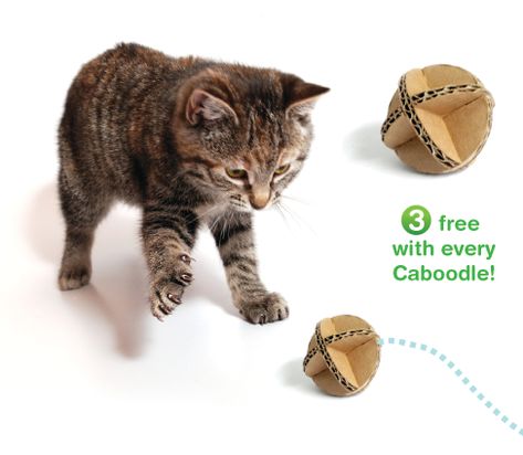 Feline Enrichment, Cat Habitat, Cats Toys, Diy Cat Toys, Toys Ideas, Bronze Award, Cat Hacks, Kitten Toys, Ideal Toys