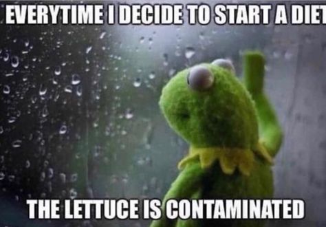 #HAHA #instalaugh #memes #kermit #ecoli #badlettuce #salad #diet #rachel #rachelpartyofone #healthyeats #diet Sometimes I Wonder, Kermit The Frog, Gym Humor, The Frog, Bones Funny, Crossfit, I Laughed, Just In Case, Road Trip