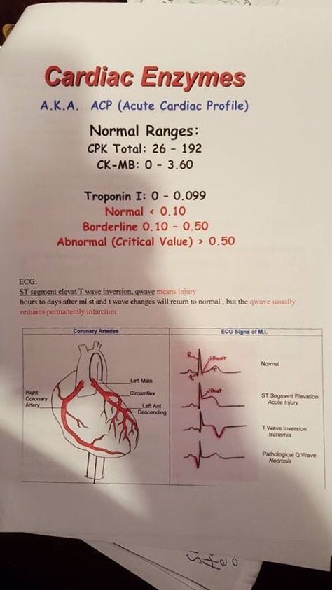 Cardiac Enzymes, Cardiac Physiology, Cardiology Nursing, Nursing Mnemonics, Cardiac Nursing, Nursing School Survival, Critical Care Nursing, Nursing School Studying, Nursing School Tips