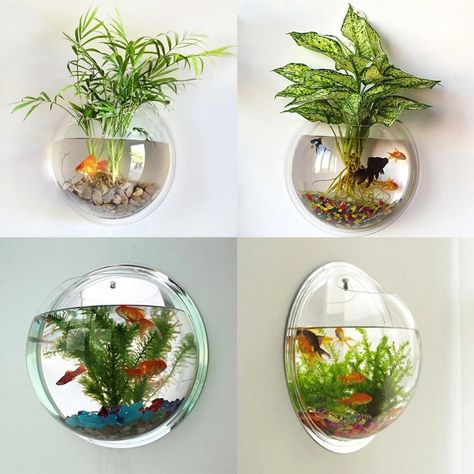 Hanging Aquarium, Wall Mounted Vase, Tanaman Air, Wall Aquarium, Fish Bowls, Bowl Planter, Aquarium Tank, Hanging Flower Pots, Clear Bowls