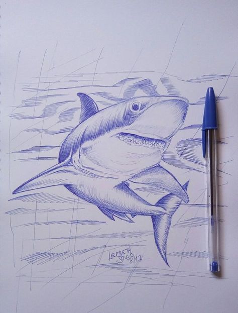 Ballpoint Pen Drawing Sketches, Ballpoint Pen Drawing Simple, Ball Point Pen Art, Blue Pen Drawing, Ball Point Pen Drawing, Pen Shading, Ballpoint Pen Art, Shark Drawing, Souvenir Art