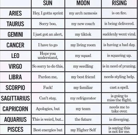 Spirituality Funny, Capricorn Midheaven, Astrological Houses, Birth Charts, Astrology Capricorn, Zodiac Things, Spell Your Name, Chart Astrology, Signs Astrology