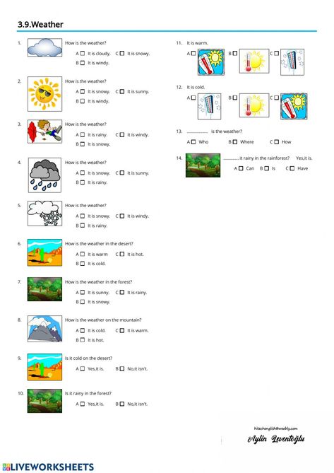 3.9.Weather Quiz 2 - Interactive worksheet Weather Reading Comprehension Worksheets, Weather Instruments Worksheet, Types Of Weather Worksheet, Weather Quiz, Weather Forecast For Kids, Weather Calendar, Weather Worksheets, Weather Vocabulary, Math Test