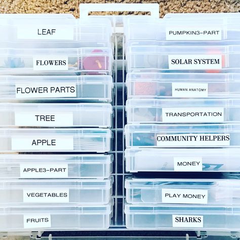 Montessori Language Object Organization – The Little Montessori House Montessori Storage, Homeschool Space, Montessori House, Bee Life Cycle, Montessori Language, Frog Life, Montessori Art, Art Supplies Storage, Class Organization