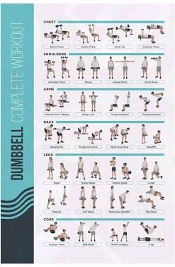 Slim in the Gym: 8 Ways to Use a Weight Bench | SELF Exercise Poster, Tricep Kickback, Workout Posters, Carb Meals, Workout Chart, Workout Plan Gym, At Home Workout Plan, Beginner Workout, Dumbbell Workout