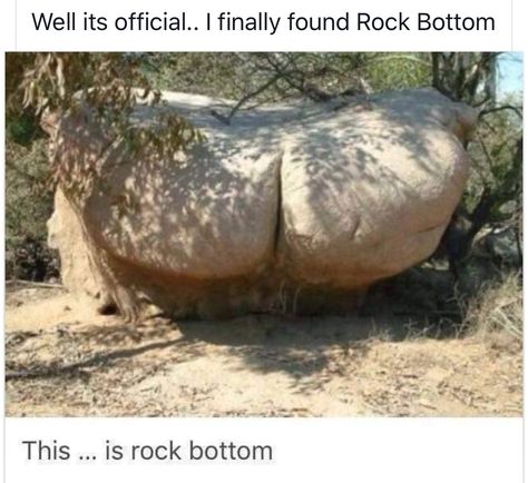 Rock Bottom, Have A Laugh, Laughing So Hard, Super Funny, Bones Funny, Funny Laugh, Funny Posts, Photo Profil, Funny Photos