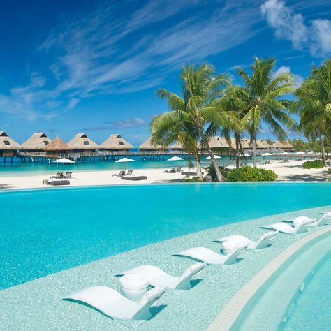 Another top choice on our list of honeymoon destinations… Bora Bora! 🏝️ What’s better than sipping champagne in an overwater villa, reminiscing on memories of your wedding day with your brand new spouse? Trust me - we had the exact same thought! Bora Bora is the ultimate place for romance, seclusion, and just enough activity that you won’t get bored! With snorkeling, water sports, trips to the spa, and visiting lagoons, this is the perfect place for your trip of a lifetime 🏖️ Best time o... Bora Bora Pictures, Best Tropical Vacations, Bora Bora Resorts, Lagoon Pool, Water Villa, Infinity Edge Pool, Overwater Bungalows, Beach Bungalows, Paris Photos