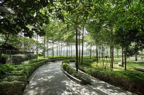 Forest walk on the podium level accompanied by white flowered plants add a sense of tranquillity and mystical mood. Urban Forest Design, Interior Design Sites, Master Planning, Urban Landscape Design, Park Forest, Urban Forest, Areas Verdes, Park Landscape, Desain Lanskap