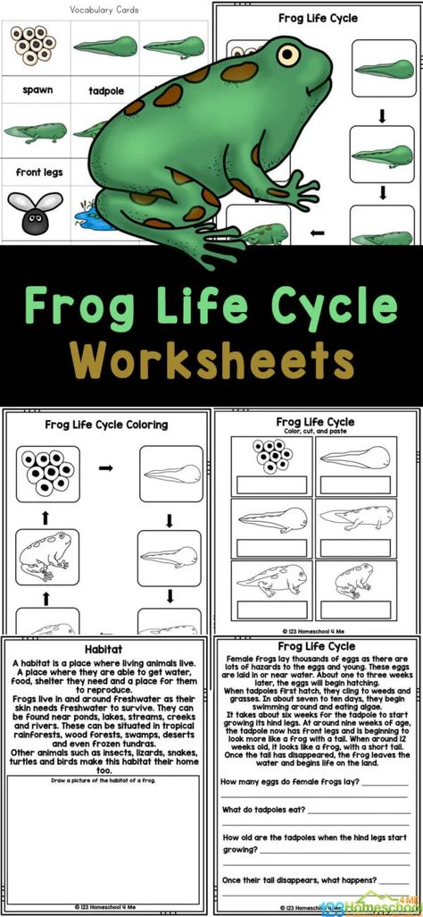 Plant And Animal Life Cycles 3rd Grade, Life Cycle Of Frog Preschool, Free Frog Life Cycle Printable, Life Cycle Of A Frog Science Project, Life Cycle Of A Frog, Lifecycle Of A Frog Activities, Life Cycle Of Frog Worksheet, The Life Cycle Of A Frog, Frog Life Cycle Printable