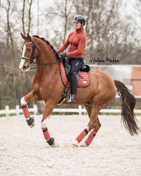 Chestnut Horse Tack, Chestnut Horse Tack Colors, Horse Tack Colors, Chestnut Horses, Equestrian Aesthetic, Tack Sets, Brick Colors, Chestnut Horse, Show Jumping