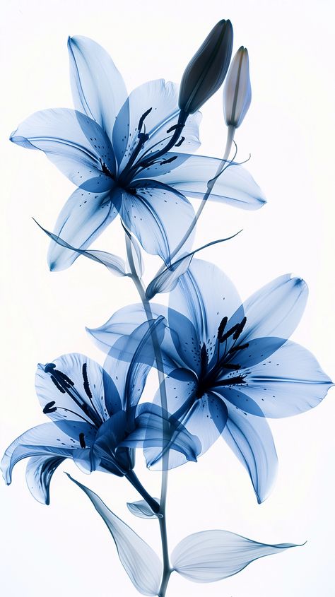 Artistic expression presented by ThetaCursed, License: CC BY-NC 4.0 Blue Asthetics, Japanese Florals, Flower In A Vase, Pretty Blue Flowers, Lilies Drawing, Blue Flower Art, Blue Flower Wallpaper, Cute Simple Wallpapers, Flowers Blue