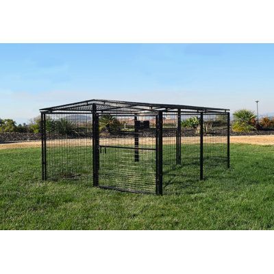 Corral your chickens, or let your dogs roam with this wire pen, a perfect pick for smaller creatures. Crafted from rust-resistant metal and finished in black, this design features a wire roof to keep your pets from escaping and predators from entering, while a knock-out panel in the back adds the option to attach a chicken hutch or doghouse, turning this design into an essential. Measures 8ft L x 7ft W x 4ft H. | Archie & Oscar™ Francesca Welded Wire Dog Pen / Chicken Coop Metal in Black | 48 H Chicken Hutch, Chicken Coop Metal, Wire Dog, Chicken Feeders, Dog Pen, Outdoor Cat House, Dog Crate Furniture, Wiener Dogs, Dog Rooms