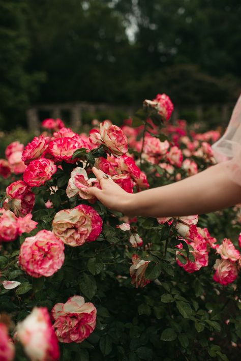 Dreamy Garden Photoshoot, Vogue Garden Photoshoot, Flower Garden Portrait, Rose Garden Photoshoot, Rose Garden Maternity Shoot, Rose Garden Portraits, Nature Queen, Outdoor Editorial, Garden Editorial