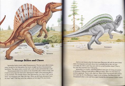 Vintage Dinosaur Art: The Big Golden Book of Dinosaurs (1988) – Part 1 Vintage Dinosaur, National Geographic Kids, Golden Book, Dinosaur Art, Prehistoric Creatures, Prehistoric Animals, Science Books, Field Guide, My Childhood