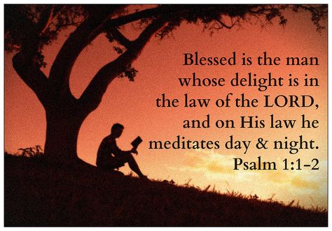 Psalm 1:1-2 | by joshtinpowers Bible Verses For Teens, Biblical Quotes Inspirational, Bible Psalms, Psalm 1, Inspirational Life Quotes, Powerful Scriptures, Faith Scripture, Biblical Quotes, Bible Words