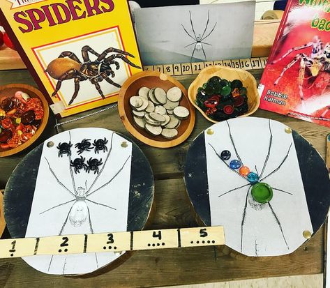 My teaching partner set up this provocation based on a wondering, “I wonder why spider’s legs are different lengths?” #inspiredbyplay #tldsblearns #invitationtoplay #invitationtolearn #playbasedlearning #inquiry #earlyyears #kindergarten #reggioinspired @strongandfit1234 Reggio Math, Mini Beasts, Prek Ideas, Spider Legs, Playbased Learning, Reggio Inspired, Invitation To Play, Science Ideas, Kindergarten Science