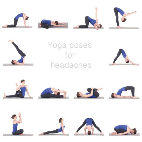 Yoga poses for headaches. Yoga For Headaches, Yoga For Migraines, For Headaches, Yoga Breathing, Poses For Beginners, Yoga Positions, Yoga Moves, Bikram Yoga, Yoga Help