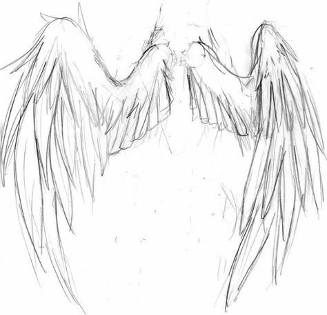 Wings Drawing, Seni Dan Kraf, Wings Art, 캐릭터 드로잉, Easy Drawings Sketches, Drawing Stuff, Art Tutorials Drawing, Drawing Reference Poses, Drawing Base