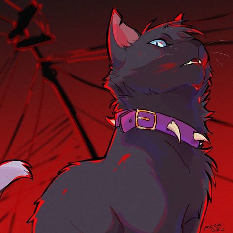 Warrior Cats Scourge, Warrior Cats Books, Warrior Cats Fan Art, Warrior Cat Drawings, Love Warriors, Warrior Cat Oc, Cat Comics, Warrior Cats Art, Cat Books