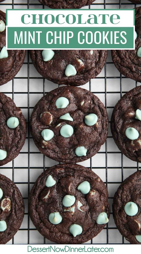 Mint Chocolate Chip Snowballs, Chocolate Cookies With Mint Chips, Andes Mint Christmas Cookies, Mint Cookie Recipes, Mint Christmas Cookies, Mint Chip Desserts, Chocolate Mint Chip Cookies, Mint Chocolate Chip Cookie Recipe, Mint Macarons