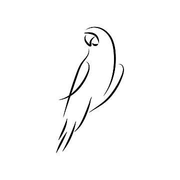 Parrot Tattoo Small Simple, Small Parrot Tattoo, Lovebird Tattoo, Dove Png, Simple Bird Tattoo, Parrot Tattoo, Stomach Tattoos Women, One Line Tattoo, White Pigeon