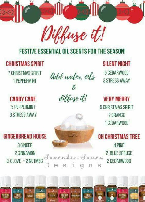 Xmas Dinner Recipes, Dinner Recipes Ideas, Christmas Dinner Recipes, Antibacterial Essential Oils, Presents For Christmas, Snacks And Desserts, Homemade Food Gifts, Xmas Dinner, Essential Oil Diffuser Recipes