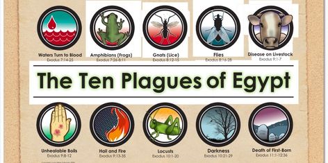 The Ten Plagues- They, Them and Us - Unveiling Understanding School Visuals, Ten Plagues Of Egypt, Biblical Holidays, Plagues Of Egypt, 10 Plagues, Ten Plagues, Noah Ark, Poster Boards, Sabbath School