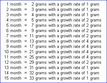 Crested gecko growth chart: this gives you a general idea/ballpark to look at. Crested Gecko Breeding Setup, Crested Gecko Morph Chart, Crested Gecko Breeding, Crested Gecko Tattoo, Bearded Dragon Toys, Crested Gecko Morphs, Crested Gecko Care, Bearded Dragon Tattoo, Gecko Tank