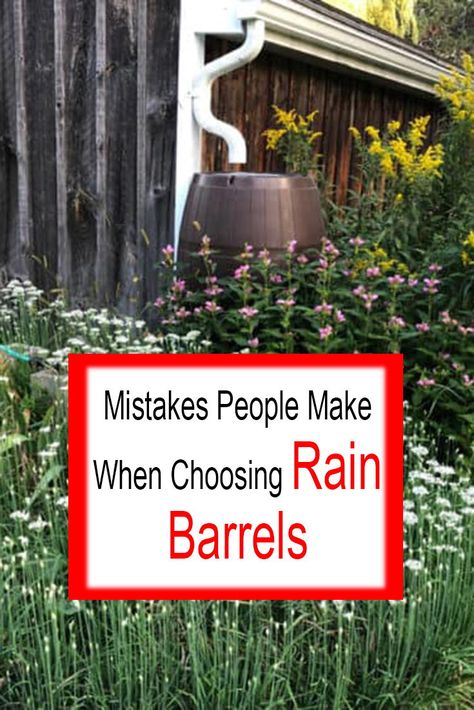 Mistakes People Make When Choosing Rain Barrels Downspout Rain Barrel, Rain Barrel In Front Of House, Rain Barrels Diy How To Make, Water Collection System Diy Rain Barrels, How To Hide A Rain Barrel, Rain Barrel Diy Pretty, Diy Water Barrel, Rain Collection System Diy, Rain Barrels Ideas Beautiful