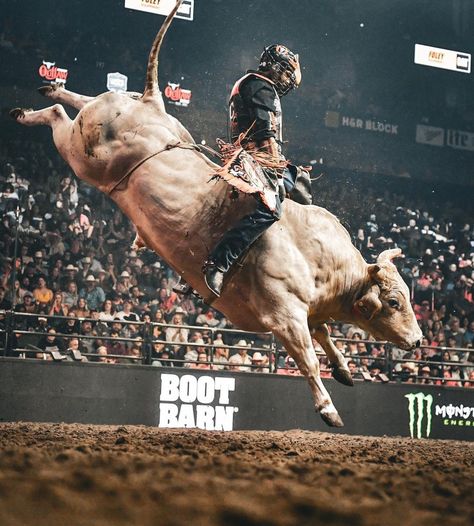 Bull Rider Wallpaper, Bull Rider, Bull Riding Tattoos Rodeo, Bull Riding Art, Rodeo Bull, Rodeo Bull Riding, Mechanical Bull Riding, Rodeo Photography Bull Riders, Pbr Bull Riders