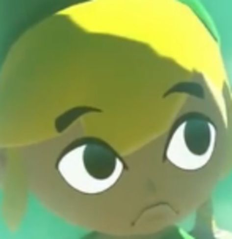 Windwaker Link, Funny Links, Toon Link, Link Meme, Kirby Memes, Legend Of Zelda Memes, Zelda Funny, Arte Ninja, Link Zelda