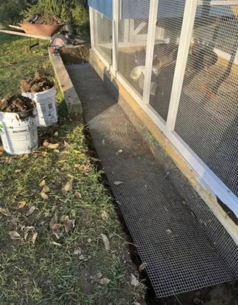 Chicken Run Pallets, Chicken Run With Roof, Enclosed Garden With Chicken Coop, Hawk Proof Chicken Run, Chicken Coop Run Extension, Coyote Proof Chicken Coop, Critter Proof Chicken Coop, Chicken Enclosure, Chicken Coop Garden