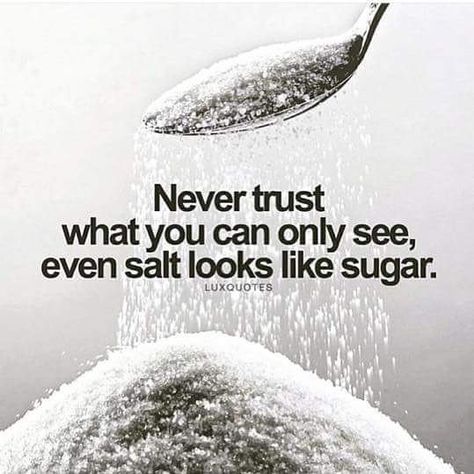 Don't Trust What You See. Even Salt Looks Like Sugar Sugar Quotes, Jack Ma, Never Trust, True Identity, Trust The Process, Motivation Quotes, Good Advice, Food For Thought, Monday Motivation