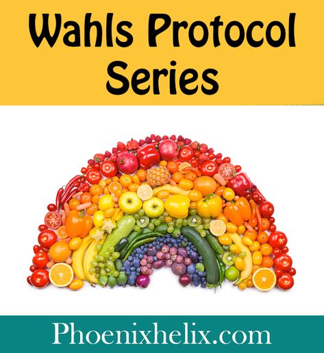 Wahls Protocol Series | Phoenix Helix Walhs Protocol Recipe, Whals Protocol Meal Plan, Whals Protocol Recipes, Whals Protocol, Huberman Protocol, Wahls Protocol Recipes, Terry Wahls Diet, Terry Wahls Protocol, Wahls Protocol Food List