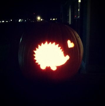 Hedgehog pumpkin carving! - Hedgehog Central – Hedgehog pet care ... Hedgehog Pumpkin Carving, Hedgehog Pumpkin, Disney Pumpkin Stencils, Pumpkin Carving Patterns Free, Pumpkin Carving Stencils Free, Carving Templates, Cute Pumpkin Carving, Disney Pumpkin Carving, Scary Halloween Pumpkins