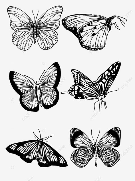 Butterfly vector hand drawn realistic line drawing pattern Line Drawing Pattern, Wing Drawing, Fly Drawing, Butterfly Vector, Logo Cloud, Drawing Png, Drawing Pattern, Marketing Poster, Black And White Cartoon