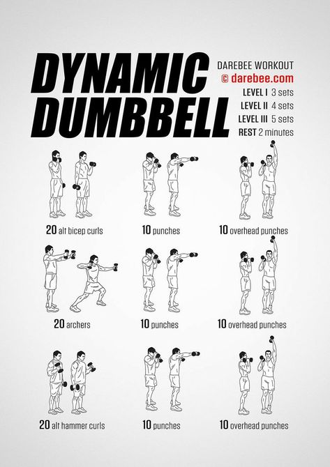 Dynamic Dumbell Darebee Workout, One Piece Workout, Build Endurance, Dumbbell Workout At Home, Workout Man, Dumbbell Exercises, Full Body Dumbbell Workout, Trening Sztuk Walki, Gym Antrenmanları