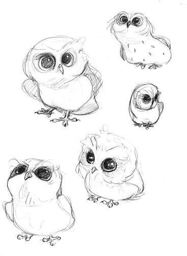 Baby Animal Drawings, Výtvarné Reference, Owls Drawing, 캐릭터 드로잉, Arte Sketchbook, Cat Eyes, Animal Sketches, Bird Drawings, Drawing Tutorials