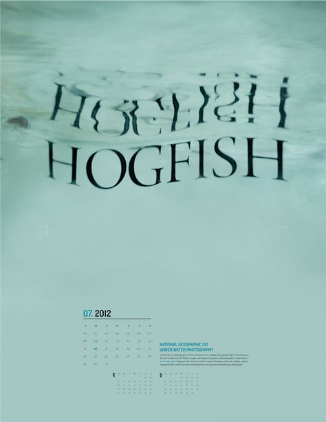 Wet Typography, Water Typography Design, Water Poster Design, Water Typography, Water Graphic Design, Underwater Graphic Design, Ocean Typography, Sea Typography Design, Underwater Typography