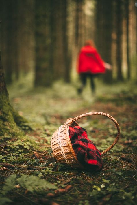 Outfit: Little Red Riding Hood Red Riding Hood Basket, Red Witchy Aesthetic, Little Red Riding Hood Photoshoot, Red Riding Hood Photography, Red Riding Hood Party, Cerise Hood, Red Riding Hood Art, Fairytale Photoshoot, Pelo Anime