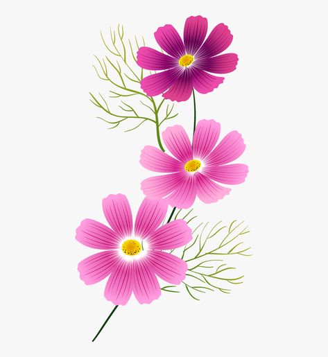 Cosmos Flowers, Flower Clipart, Watercolor Cards, Flowers And Leaves, Fabric Painting, 그림 그리기, Pretty Flowers, Floral Painting, Watercolor Flowers