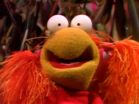 Red Fraggle Rock, Red Fraggle, Film Student, Smol Bean, Silly Puppets, Nostalgia Aesthetic, Fraggle Rock, The Muppet Show, Muppet Babies