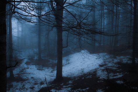 Dark Naturalism, Dark Winter, Blue Hour, Winter Aesthetic, Dark Forest, Narnia, Blue Aesthetic, I Miss You, Dark Aesthetic