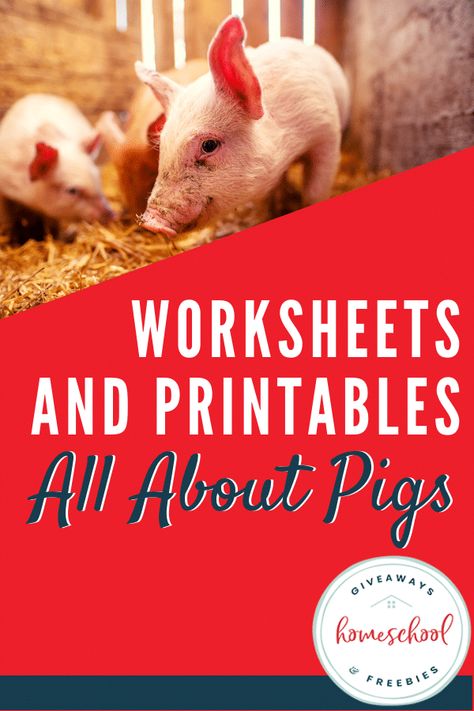 Worksheets and Printables All About Pigs #allaboutpigs #learningaboutpigs #pigprintables #pigresources Pig Science Preschool, Pig Activities, Agriculture Education Lessons, Charlottes Web Activities, Ag Classroom, National Pig Day, 4h Ideas, Zoo Crew, Animal Studies