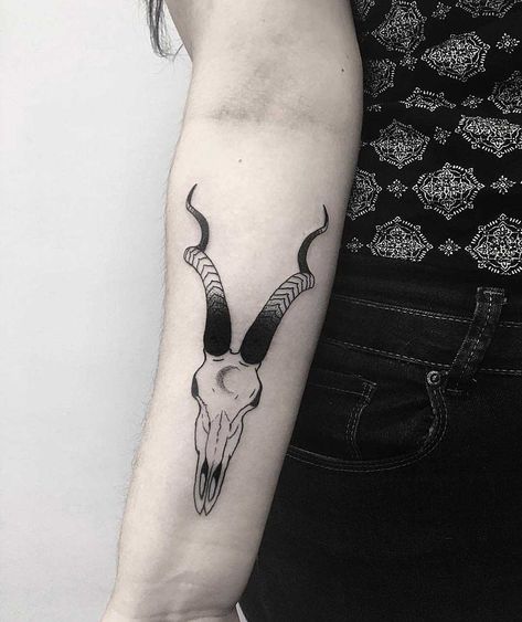 Skull And Horns Tattoo, Gazelle Skull Tattoo, Antelope Skull Tattoo, Antelope Tattoo, Animal Skull Tattoo, Druid Tattoo, Medusa Tattoo Ideas, Tattoo Meaning Ideas, Bird Skull Tattoo