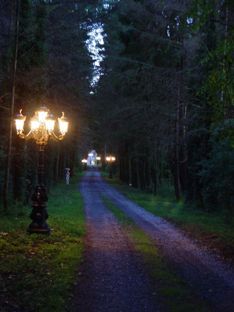 Portlick Castle, Ireland.  "The Long Driveway at Dusk".  Taken by me. Farm Driveway Lighting, Lights For Long Driveway, Long Driveway Lighting, Long Driveway Lighting Ideas, Long Driveway Landscaping, Castle Driveway, Big Driveway, Amazing Driveways, Driveway Decor