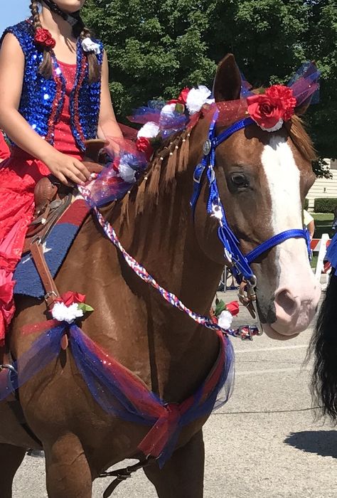 Horse Parade Costume, Horse Parade Ideas, Parade Horse Ideas, 4th Of July Horse Parade Ideas, Horse Costumes For Horses, Red White And Blue Horse Ideas, Reining Patterns, Horse Christmas Costume, Christmas Costumes For Horses