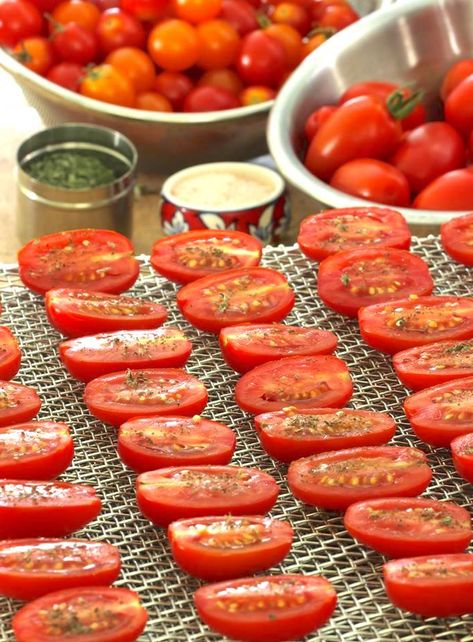 Dehydrating Grape and Cherry Tomatoes | A Life Well Planted Dehydrating Food Storage, Cold Pasta Dishes, Tomato Snacks, Dehydrated Vegetables, Cold Pasta, Plastic Tray, Dehydrated Food, Dehydrator Recipes, Grape Tomatoes