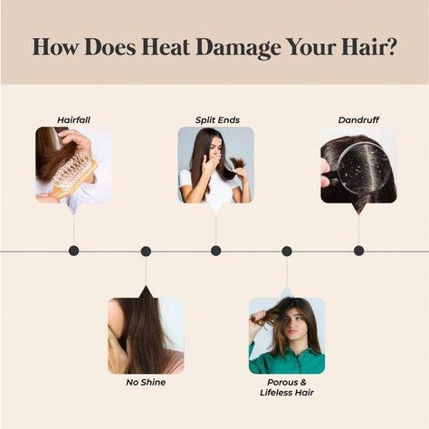 Haircuts For Damaged Hair, Heat Damaged Natural Hair, Hair Knowledge, Greying Hair, Damaged Hair Diy, Damaged Curly Hair, Heat Damaged Hair, Hair Facts, Hair Appliances